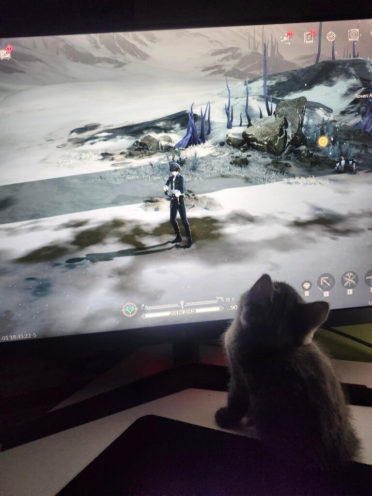 嵐の波のファンベースへの最新の追加