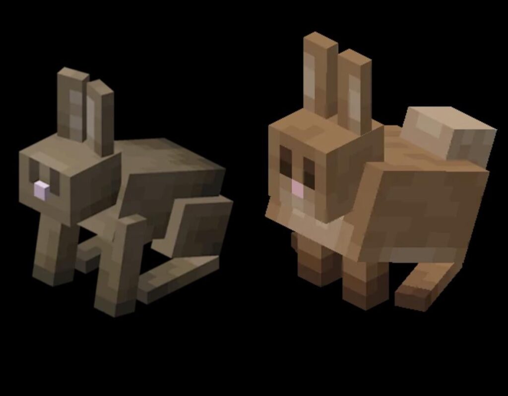 あれは野生のウサギではありません。それらは肥満のペットのウサギです。同じものではありません。