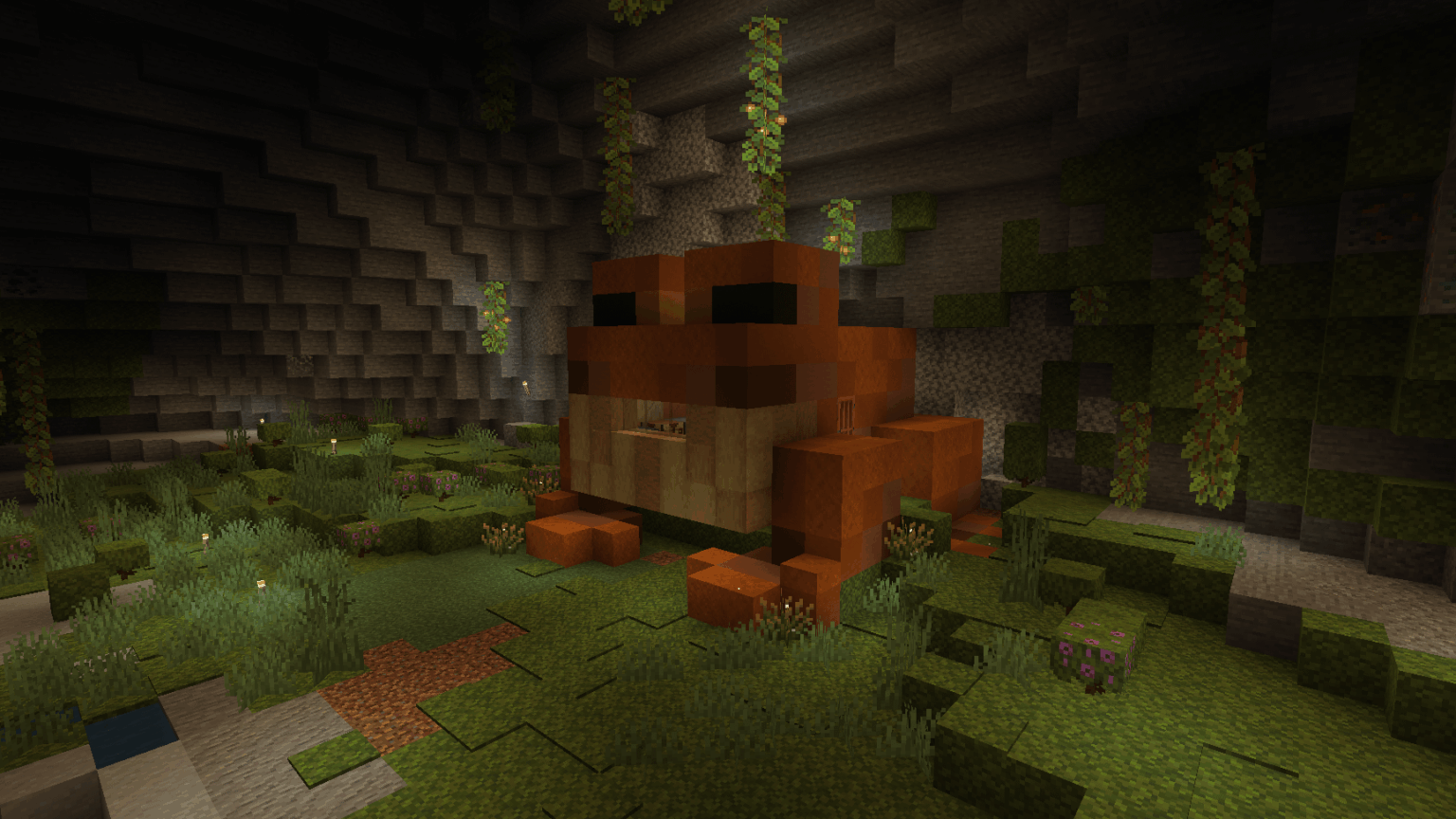 洞窟のカエルさん、あなたの知恵は何ですか？