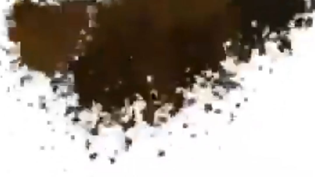 自動的に「抱っこしに来ます」が可愛くて面白い + ゼイン、落ち着いてください