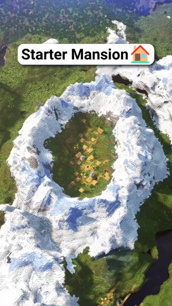 このビデオの種は何ですか?