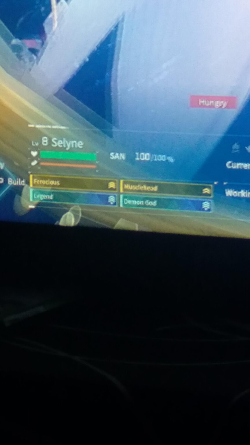 セリーヌの飼育に関する最新情報..