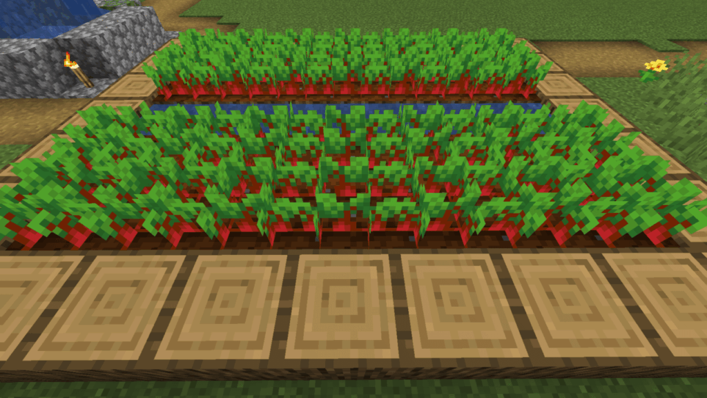 最も過小評価されている作物は何ですか？