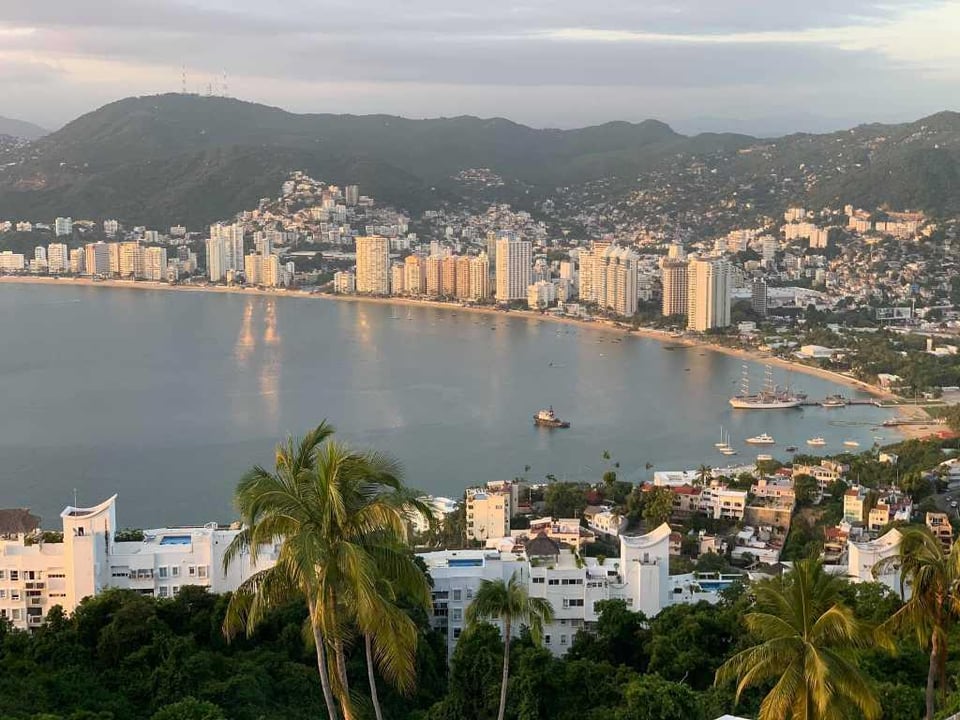 ヘルプ。アカプルコに家を建てたいのですが、種を見つけるのに苦労しています