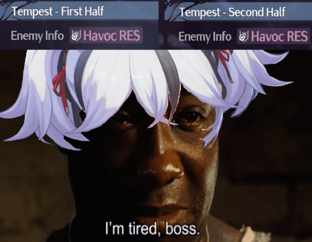 椿メインになった気分