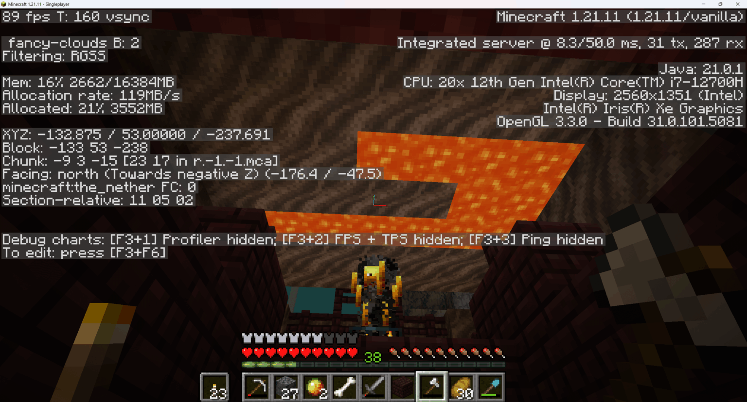 ネザー要塞の大きな溶岩プールは重力を忘れた [version = 1.21.11, seed = 863782496599486117]