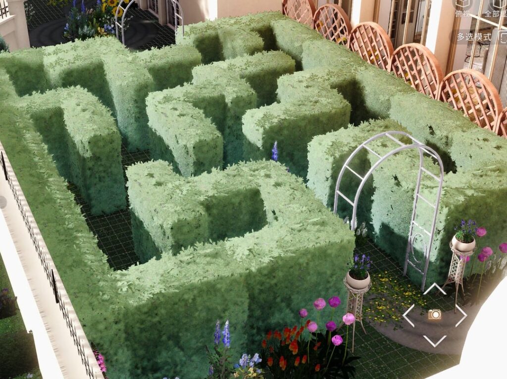 庭にケイレブの迷路を作りました！