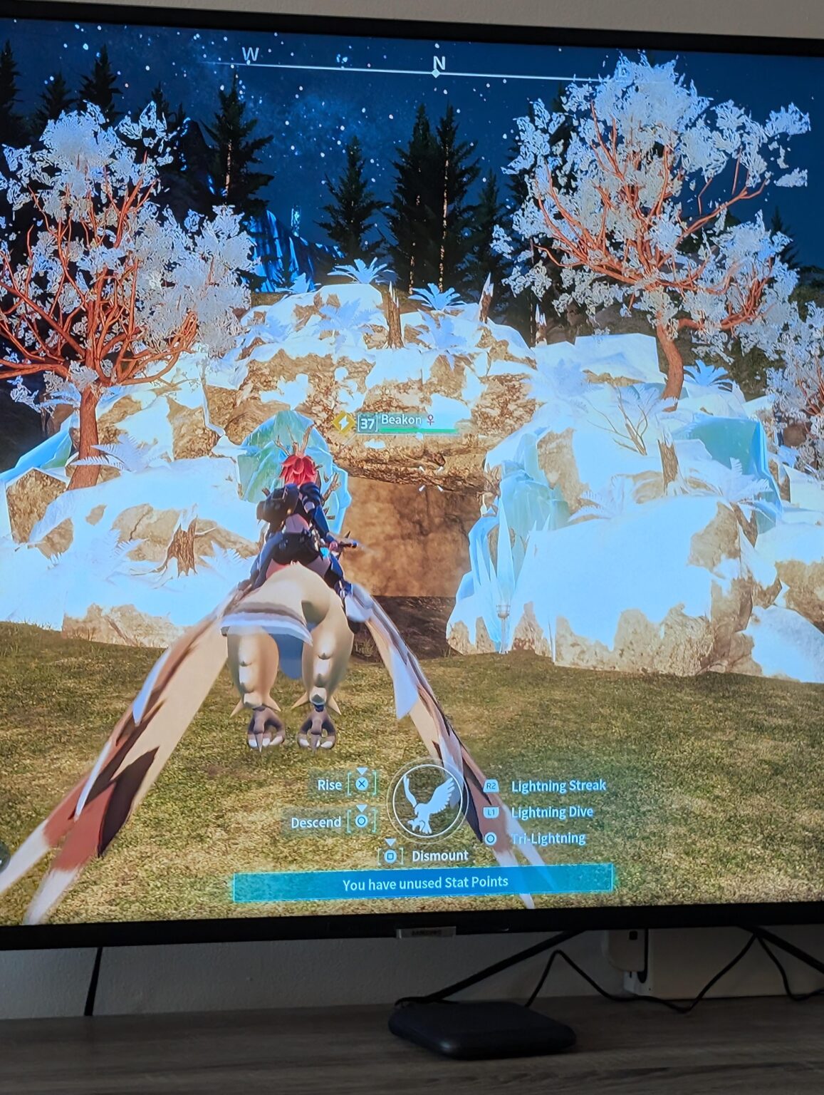 ここは何ですか