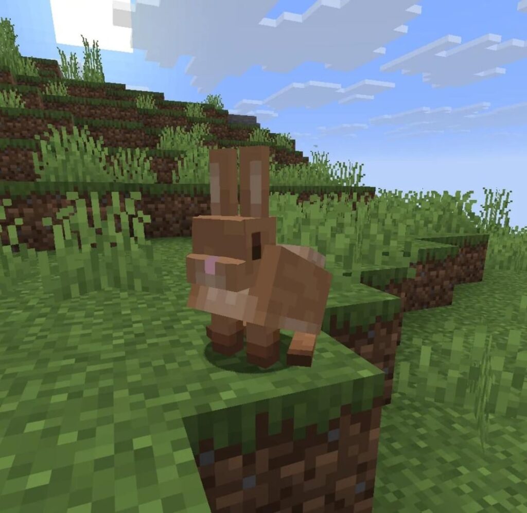 ここの誰かが、ウサギの目が横についているというアイデアを投稿したので、それについて私の意見を述べたいと思います