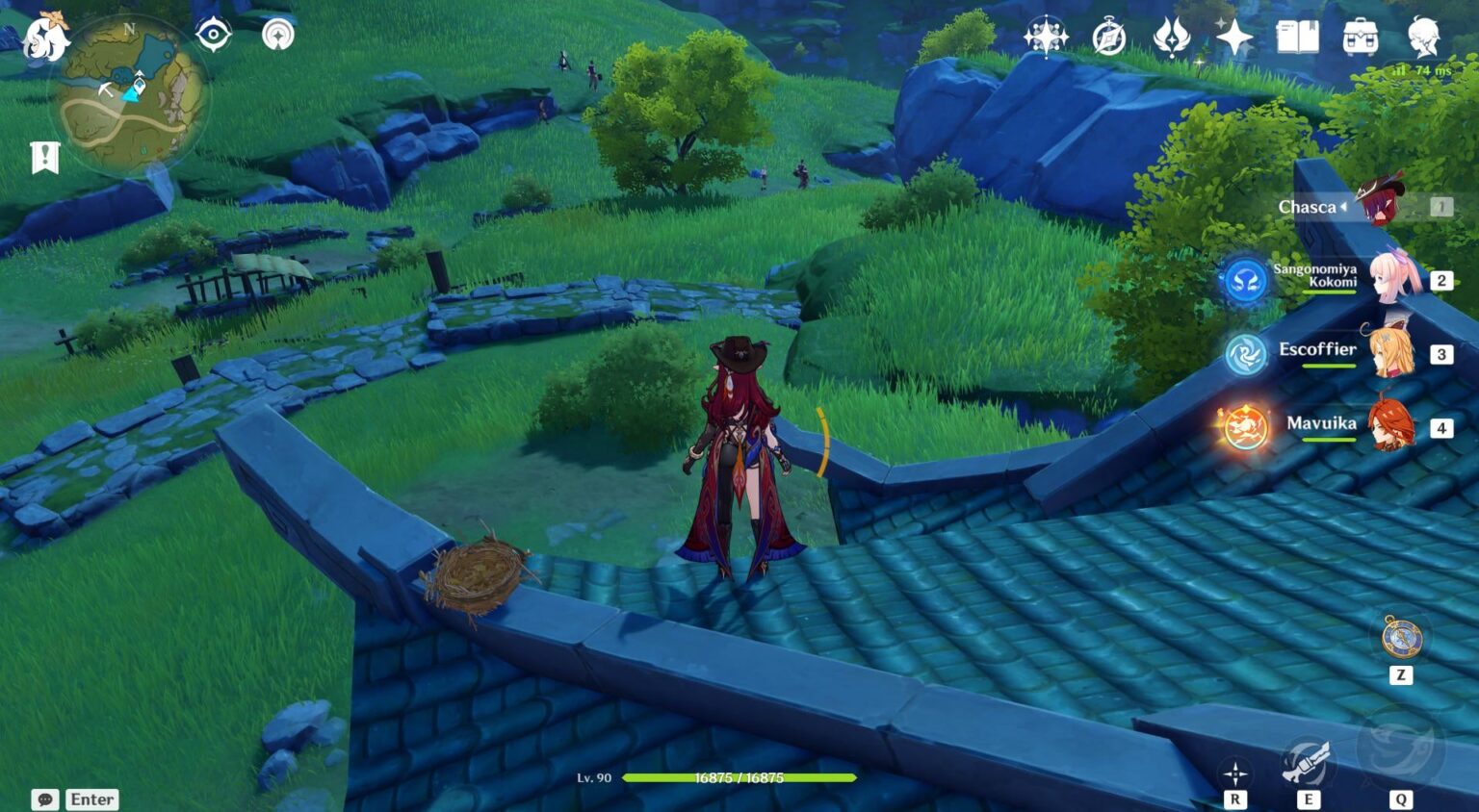 この鳥の巣には卵がありません