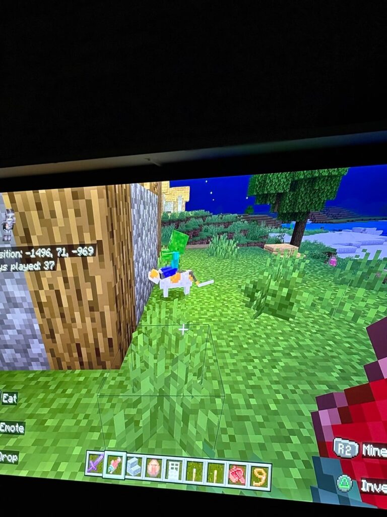 これを見たことがありますか?