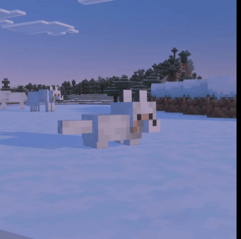 私たちは本当ですか