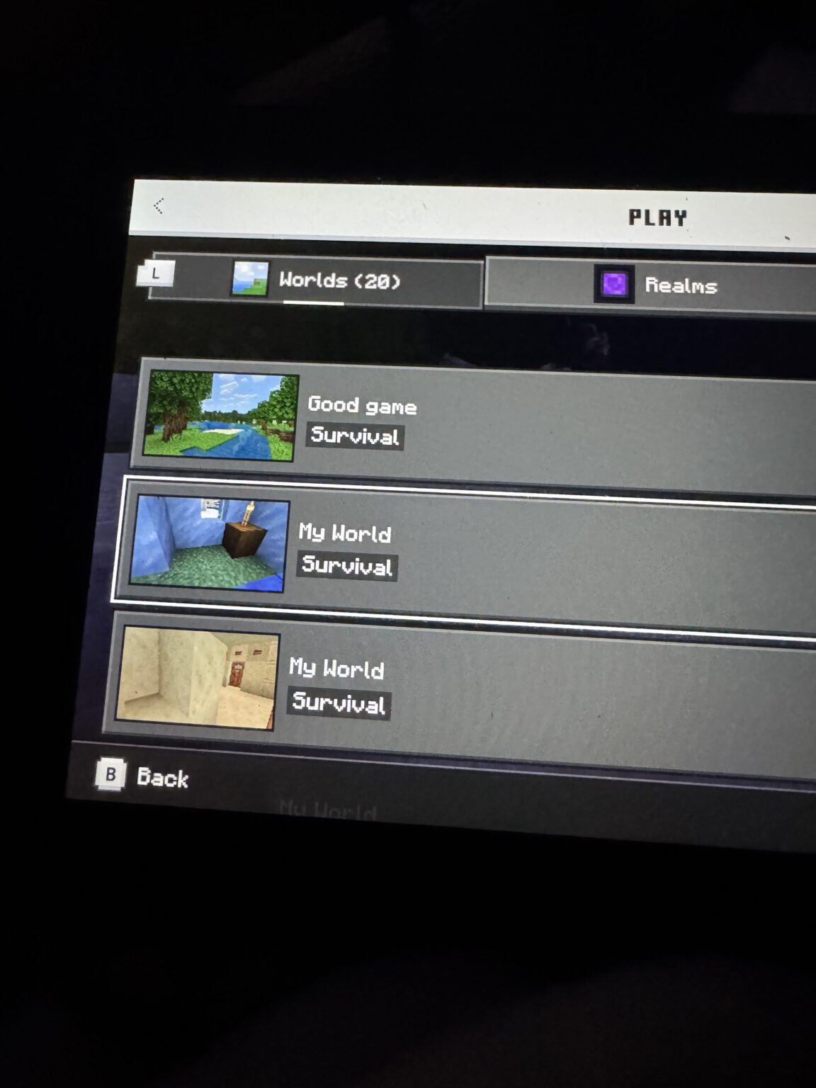 私の兄は自殺したので、私は彼の世界を守りたいと思っています