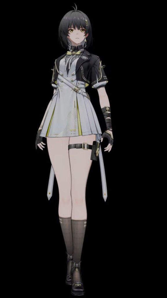 3.1 | F. Seele 経由の ROver スキン