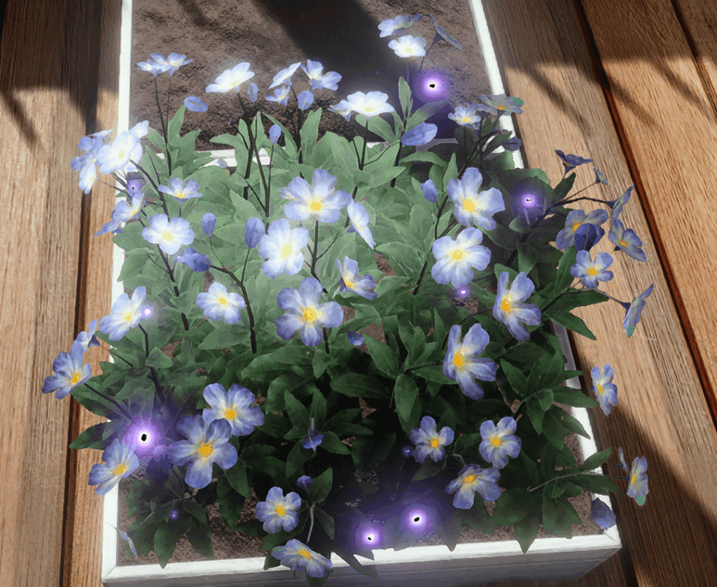 泣きそうなくらい綺麗です😭