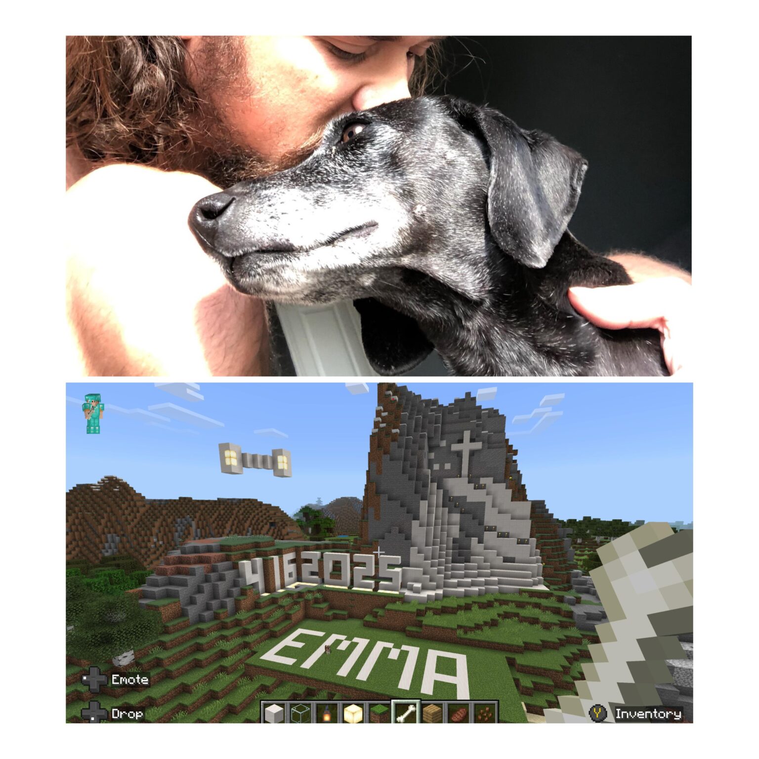 更新: 見つけました。ありがとう、r/Minecraft