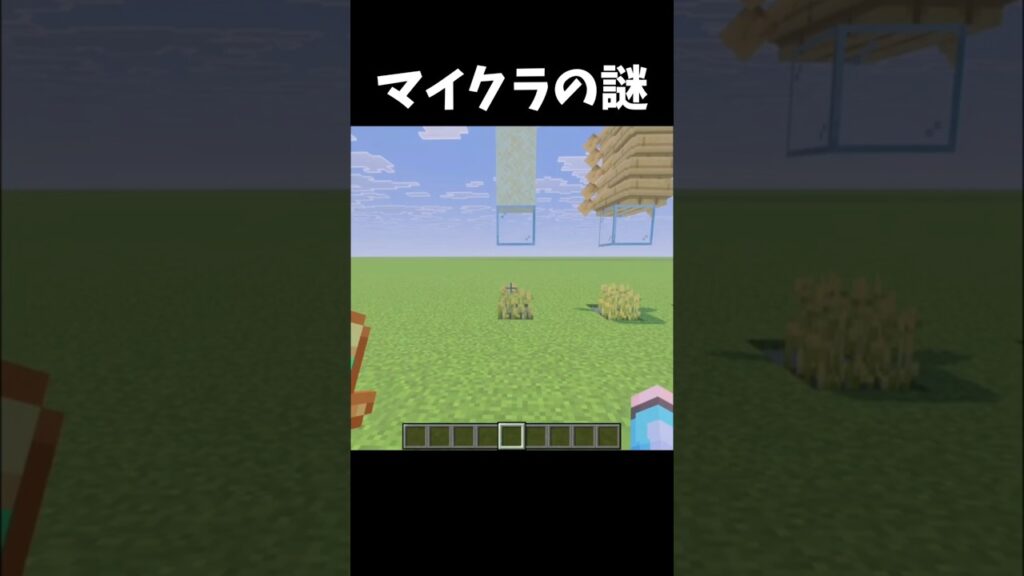 マインクラフトの謎？ #minecraft #マイクラ