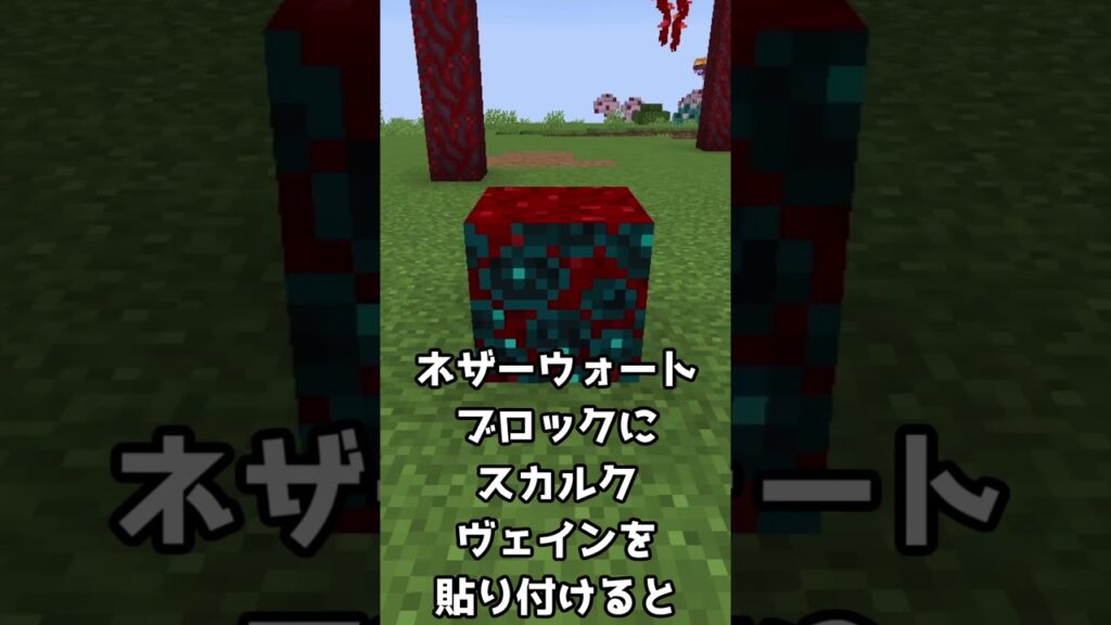 【解説】スカルクヴェインについて  #マイクラ #マインクラフト #shorts