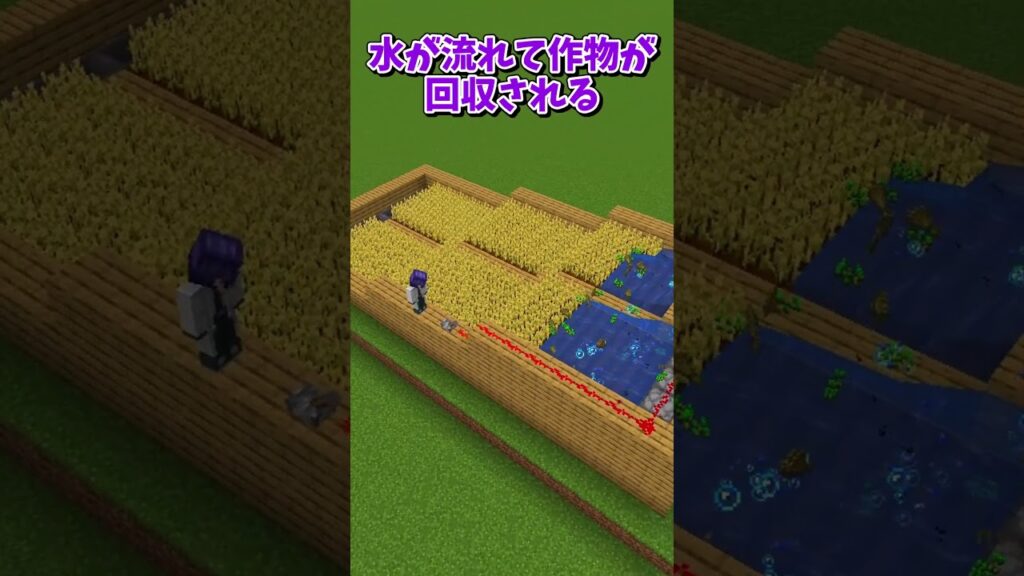 畑の歴史【マイクラ豆知識 解説 裏技】