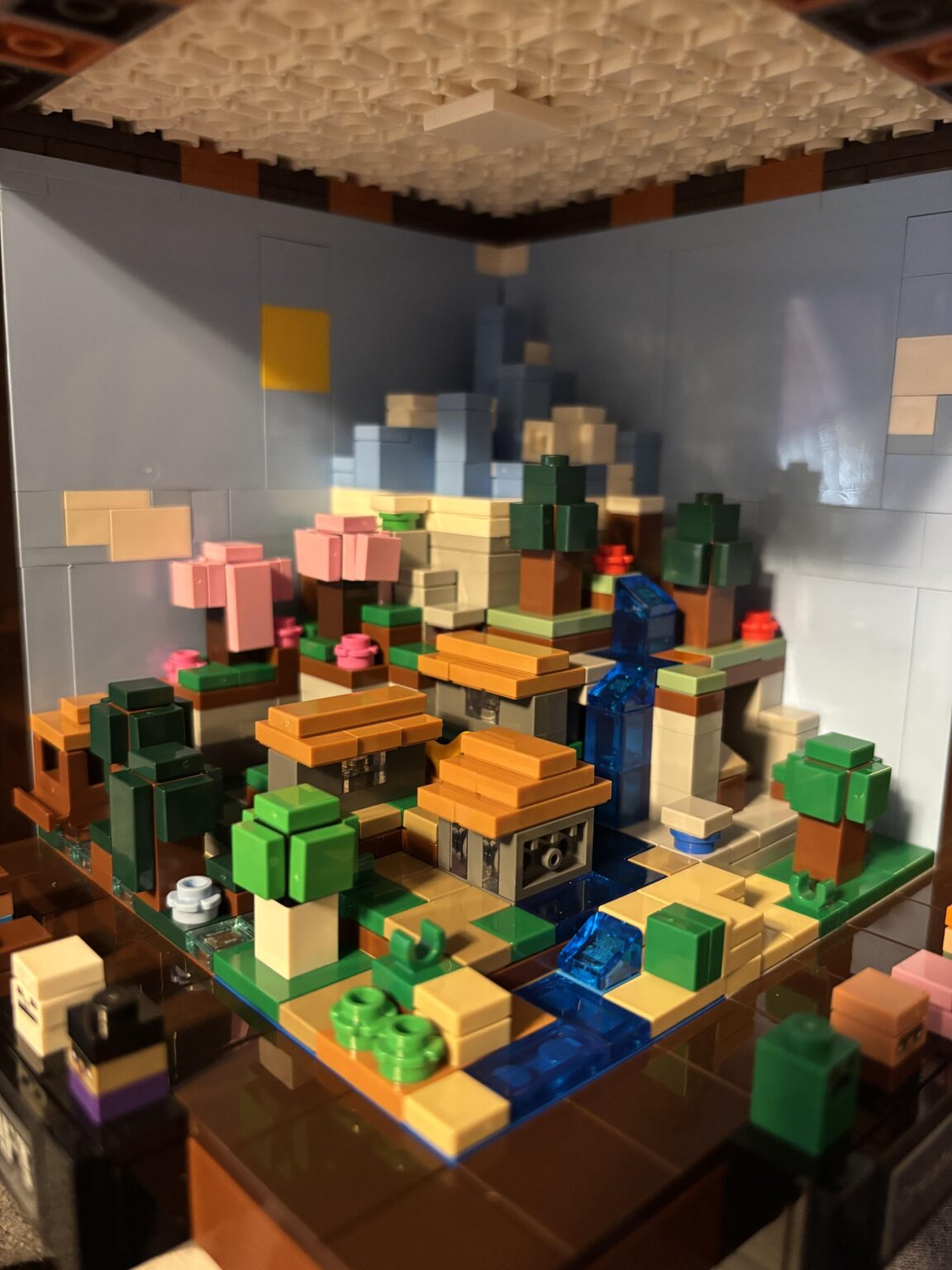 誰かこのような種子を見つけられるでしょうか？