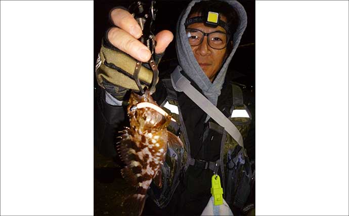 「パワーイソメが効いた！」四日市港ライトゲームで良型カサゴ連発【三重】