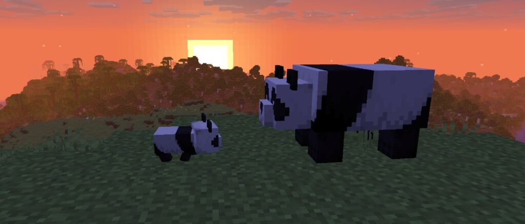 Minecraft 26.1 Snapshot 8 | Minecraft Two pandas, one adult and one cub, stand on a grassy hill with the sun setting in the background.