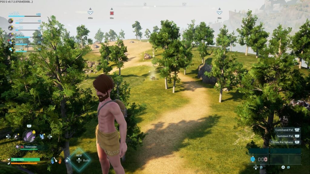 新しい世界での最初の幸運