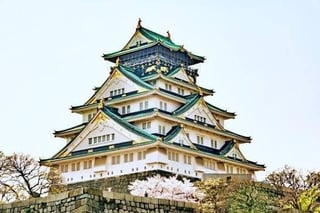 スポーンの近くに日本の城を建てられる種のようなものはありますか？