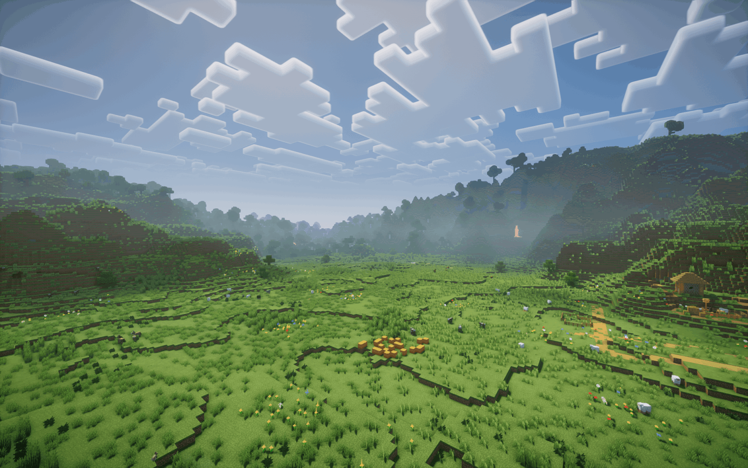 もっと平らなエリアがあればいいのにと思う人はいますか？