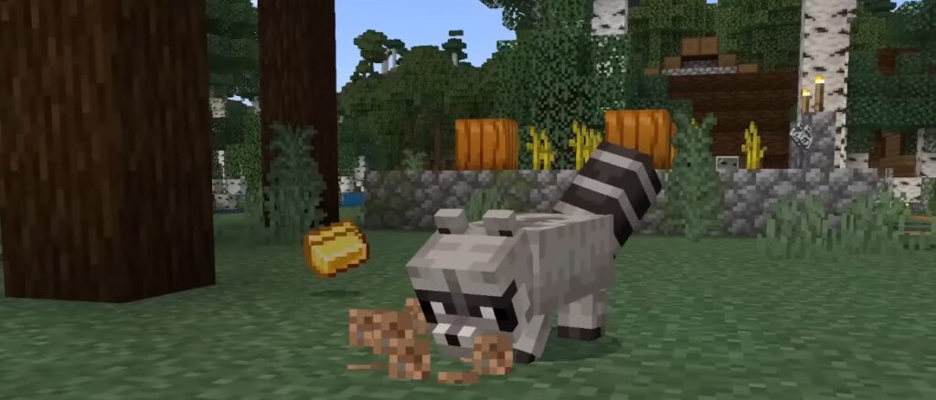 Let’s Play: Better on Bedrock A racoon digging into grass blocks with gold ingots hovering behind