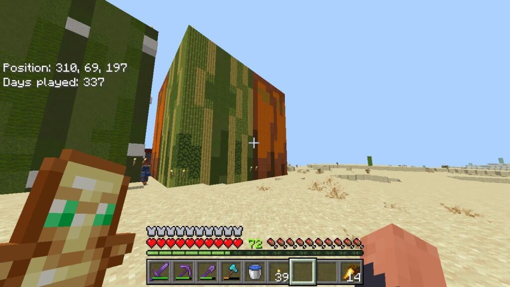 私の半分メロン、半分カボチャのブロックビルド