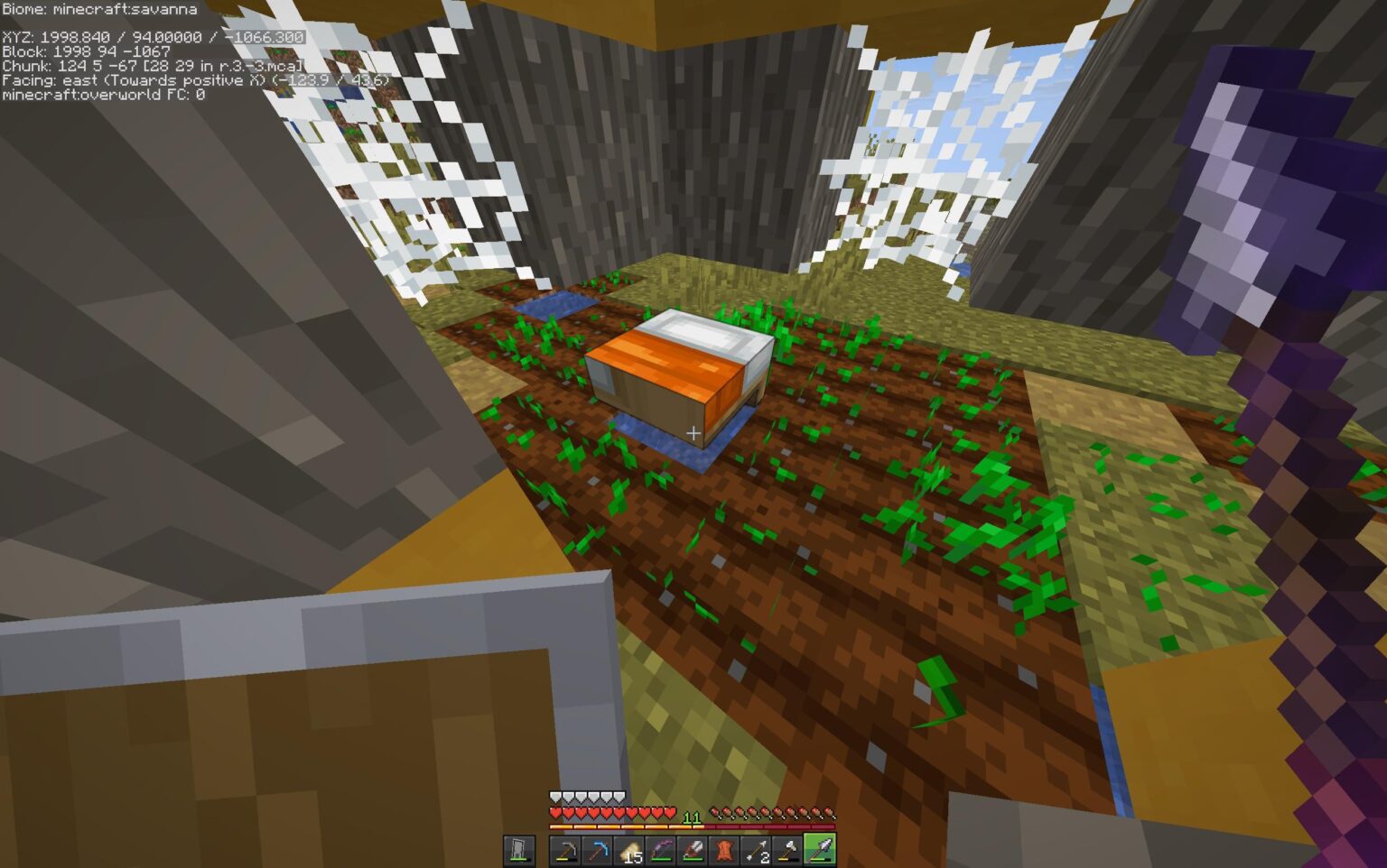 昨日これを見つけました