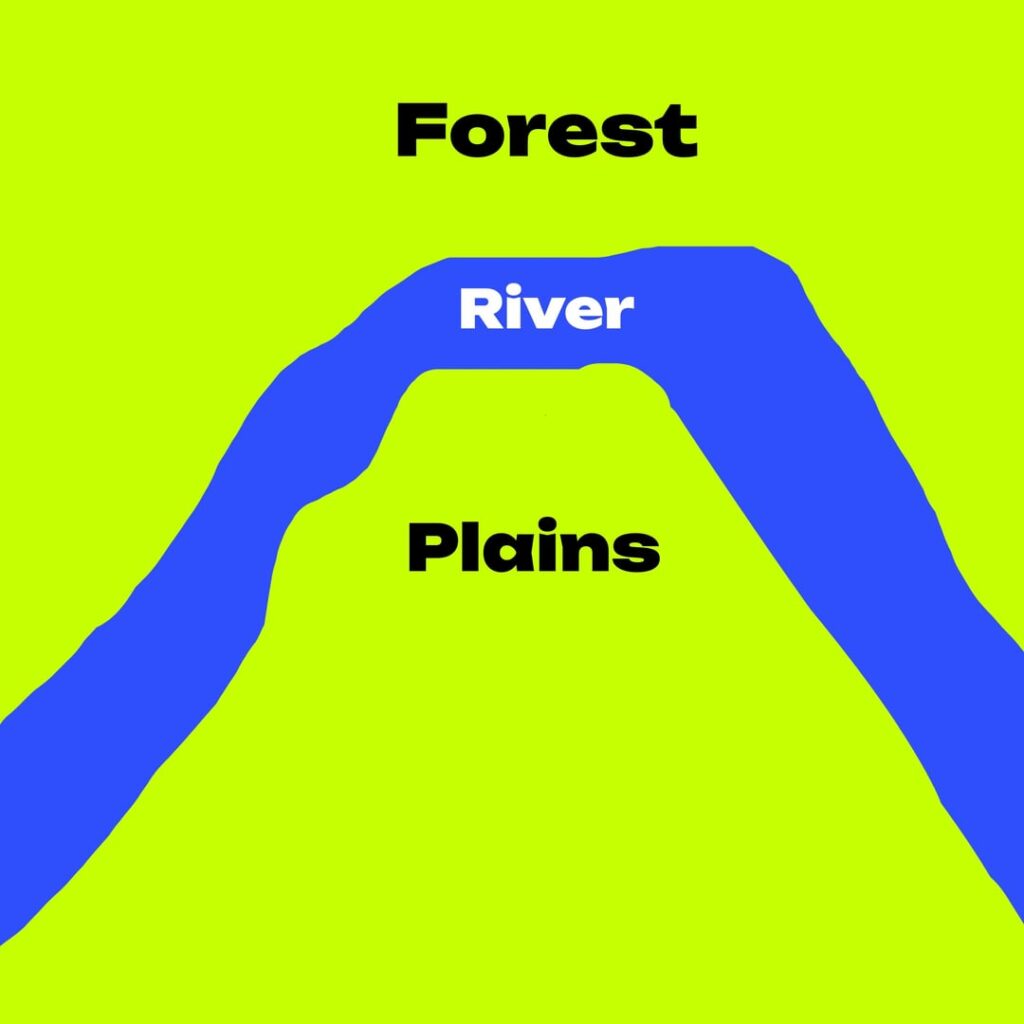 写真のような種を探しています