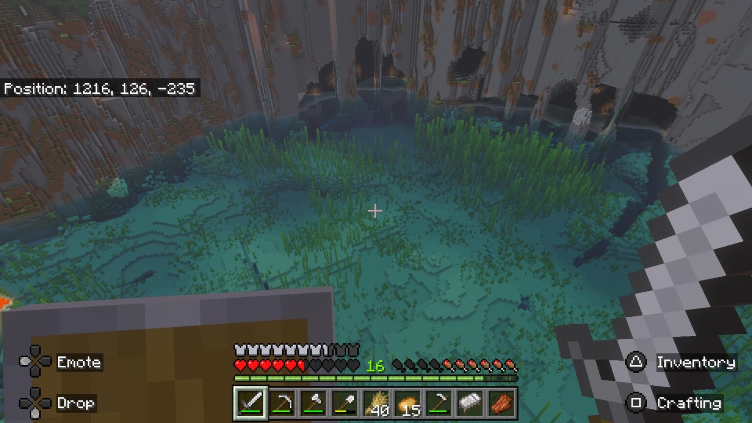 スポーンから 1000 ブロックでこれを見つけました