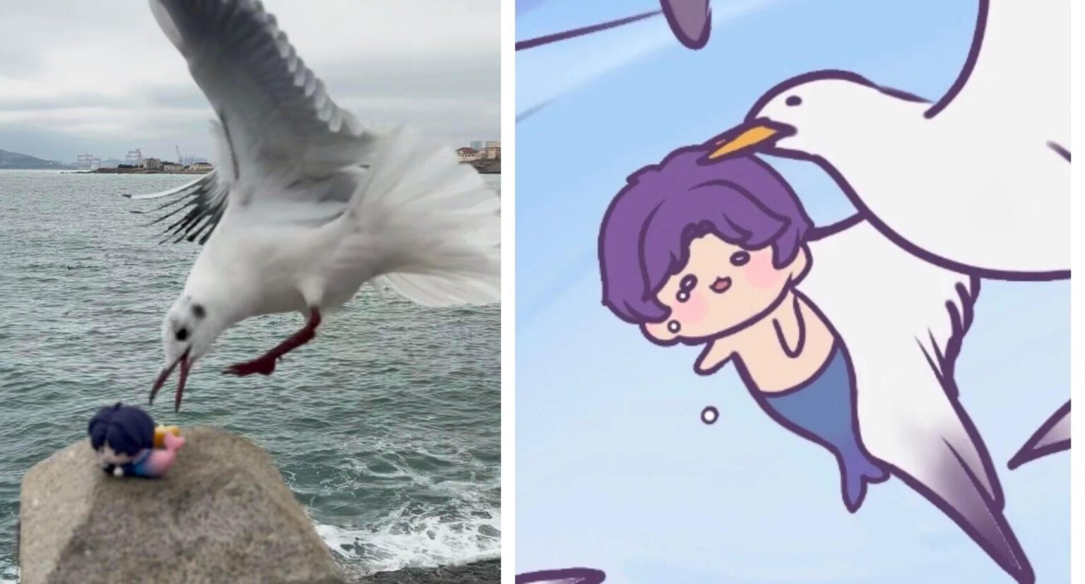 桟橋で魚を捕まえに行きましょう🐟