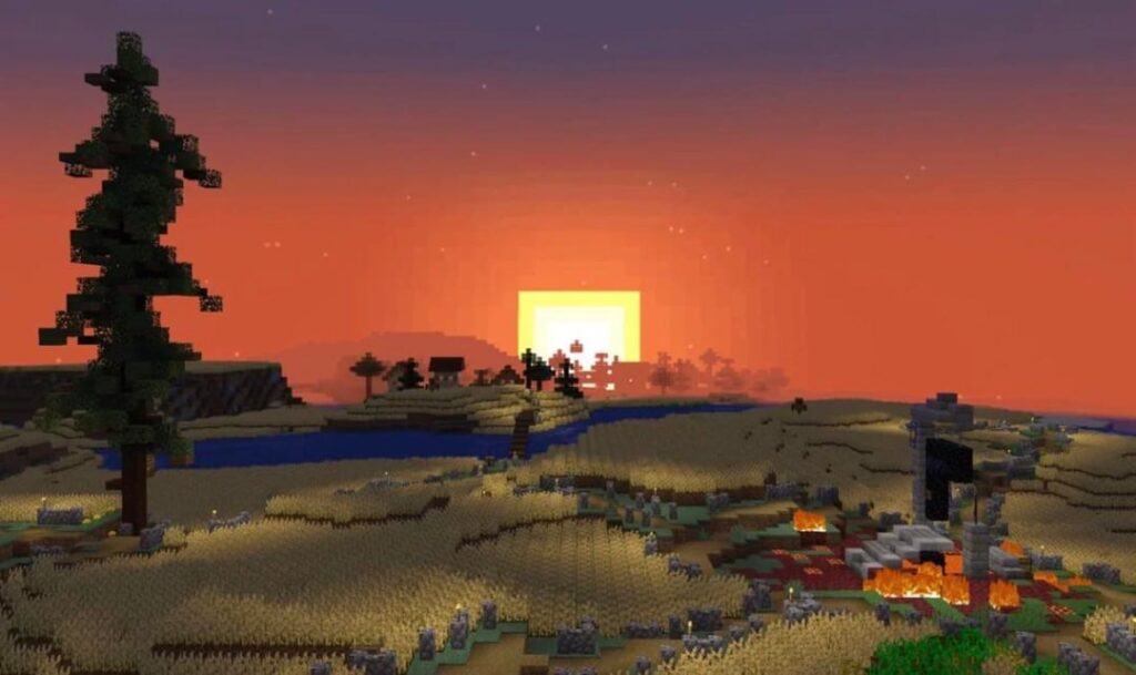 小麦を植えました！