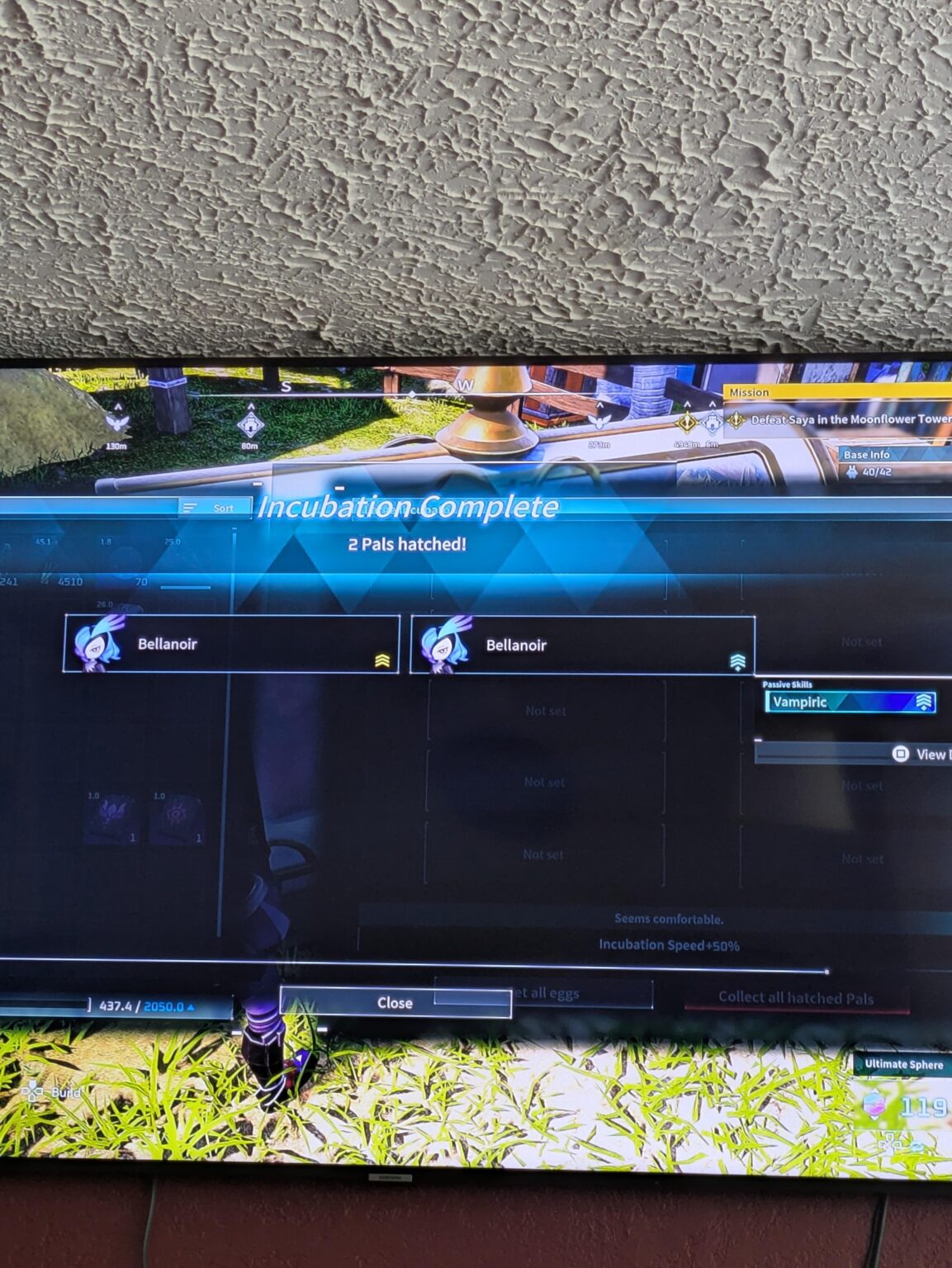 ベラノワール吸血症?