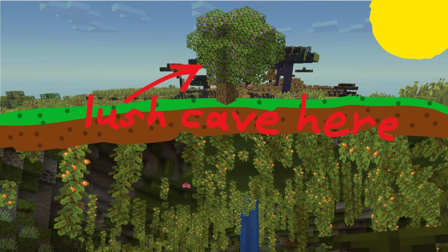 誰かこのような種を見つけられるでしょうか？