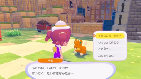 ポケモンの「すみごこち」を上げていこう