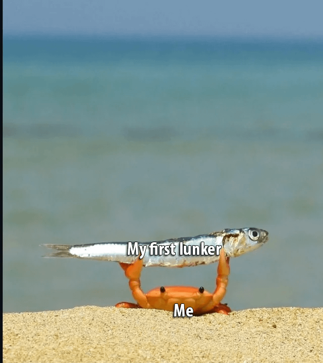 釣りが大好きです