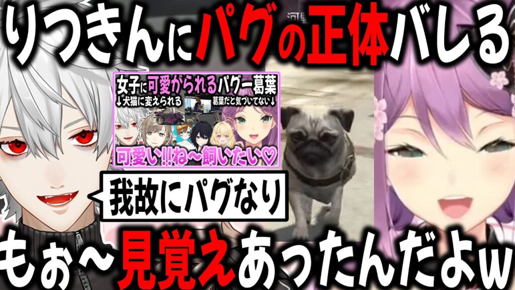 可愛がっていたパグの正体が葛葉だと知るりつきん【切り抜き/NEWTOWN /GTA/にじさんじ】