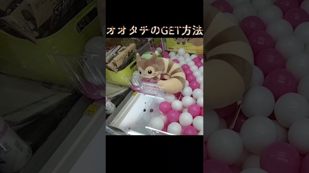 #クレーンゲーム #攻略 #ポケモン30周年 #ポケモン #オオタチ