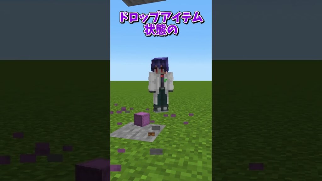 アイテムの噴水【マイクラ豆知識 解説 裏技】