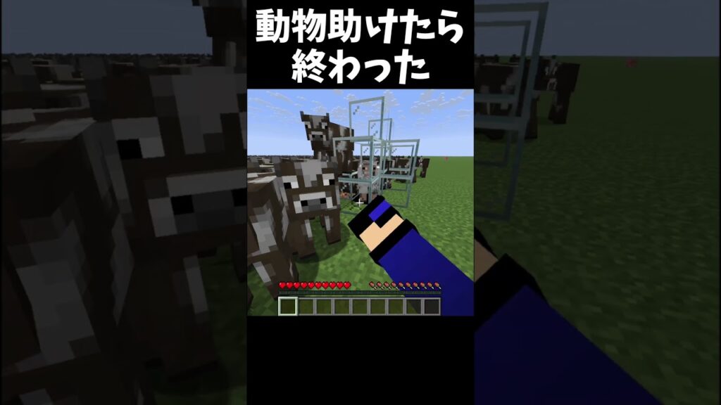 動物助けたら終わった【マイクラ】