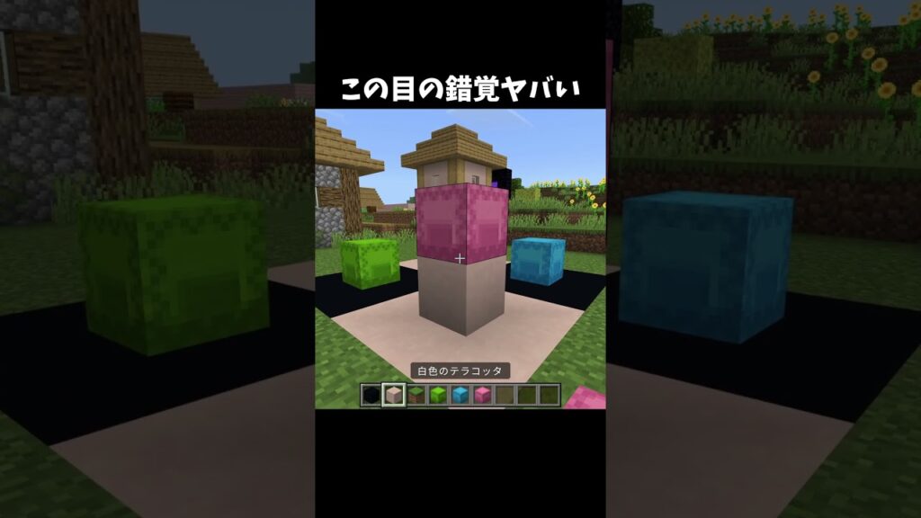 この目の錯覚は凄すぎる！#shorts#minecraft#マイクラ