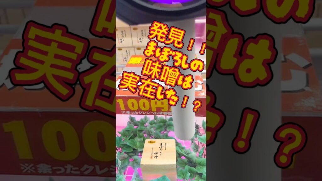 発見‼️まぼろしの味噌は実在した⁉️#クレーンゲーム #攻略 #解説 #食