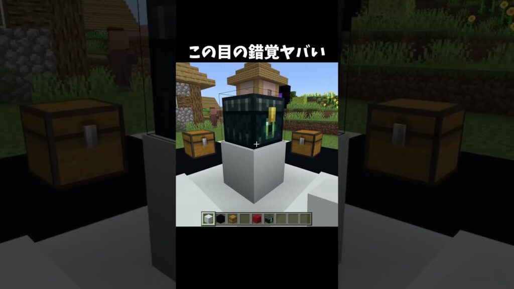 目の錯覚ってすごいね！#shorts#minecraft#マイクラ