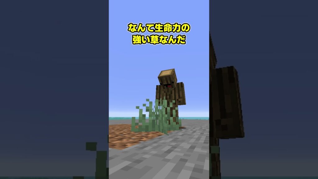 本当になにもない初期スポーン【マイクラ】