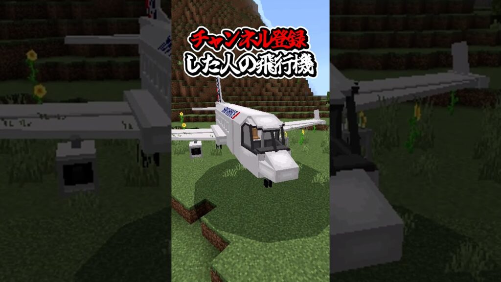 〇〇した人の飛行機【マインクラフト】#マイクラ #shorts