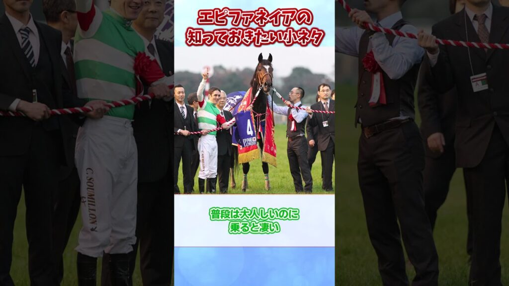 エピファネイアの知っておきたい小ネタ【ウマ娘反応集】#ウマ娘プリティーダービー